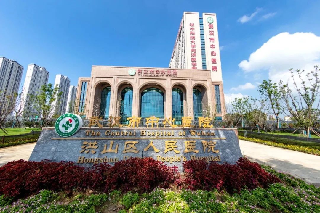 案例分享 | 数字赋能让就诊体验焕然“医”新——湖北省首个“数字孪生智慧医院”