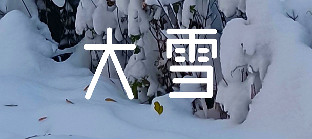 今日大雪 | 清风一念，落雪为安。 盼岁月无恙，今冬不寒。