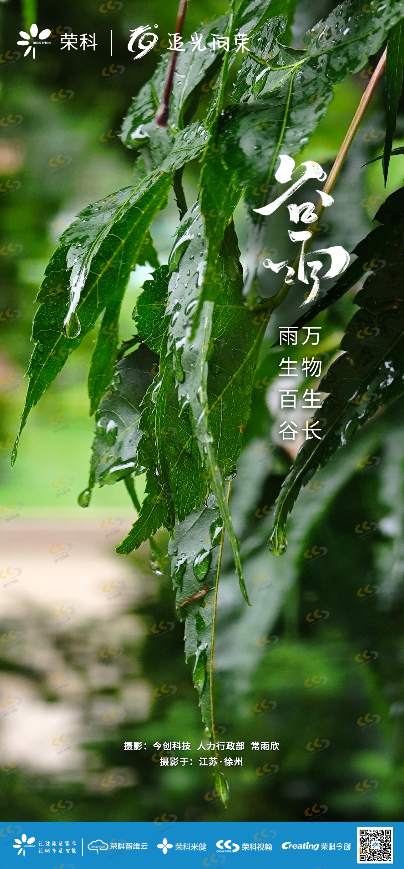 今日谷雨  雨生百谷 万物生长 .png